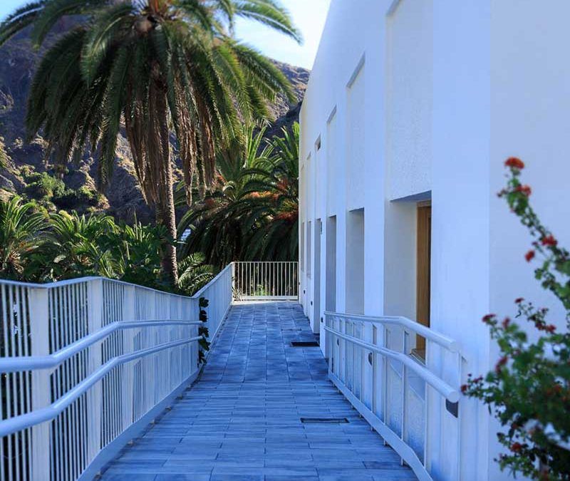 Un sendero azul junto a un edificio blanco con palmeras y exuberante vegetación.
