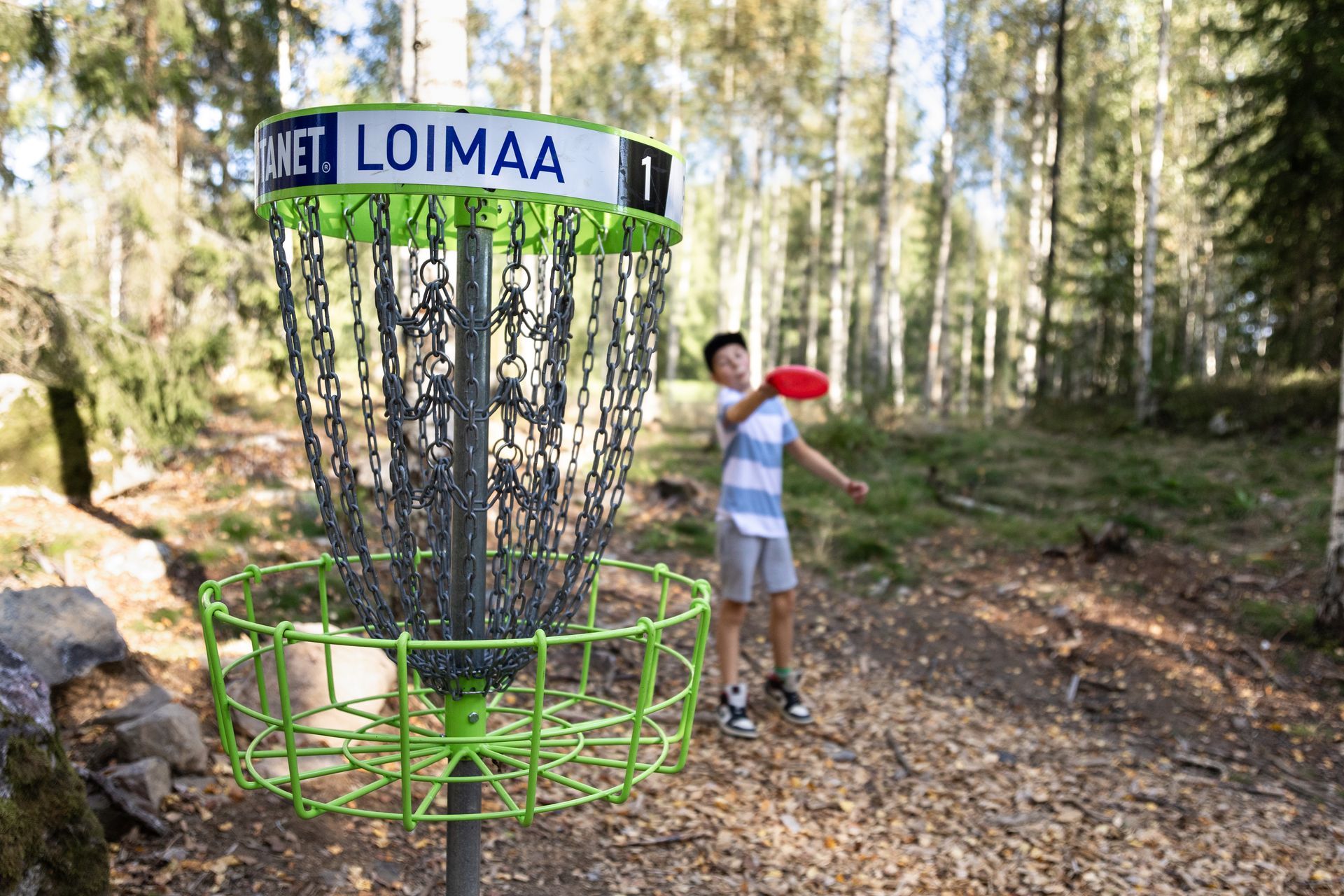 Loimaalta löytyy useampi frisbeegolfrata. Kuva Pirjo Tuominen.