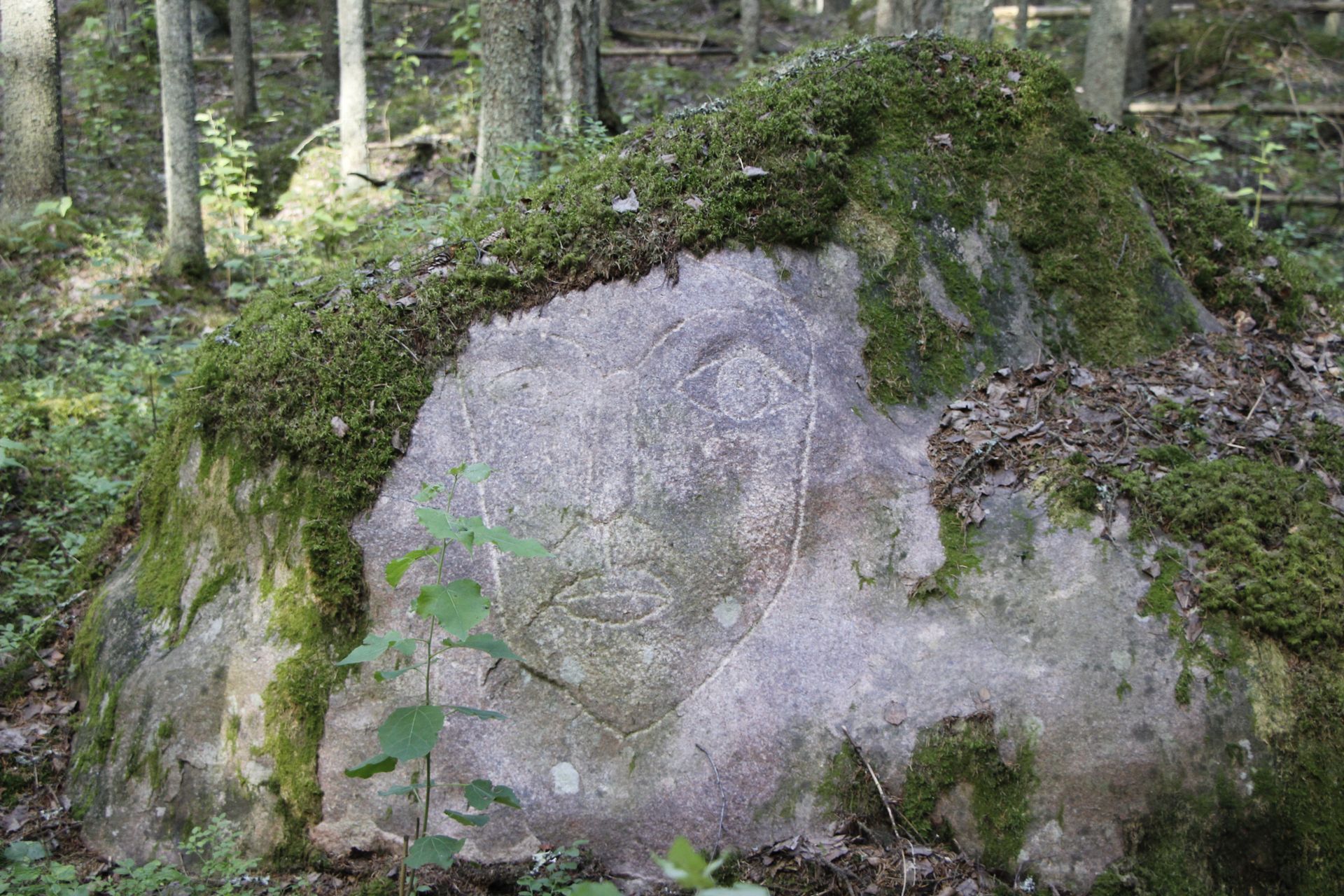 Alpo Jaakolan Ylämökille johtavan polun varressa kallioon kaiverrettua taidetta. 