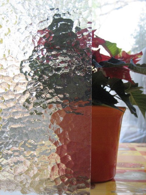 Blumentopf mit roten Blumen und Glaswand