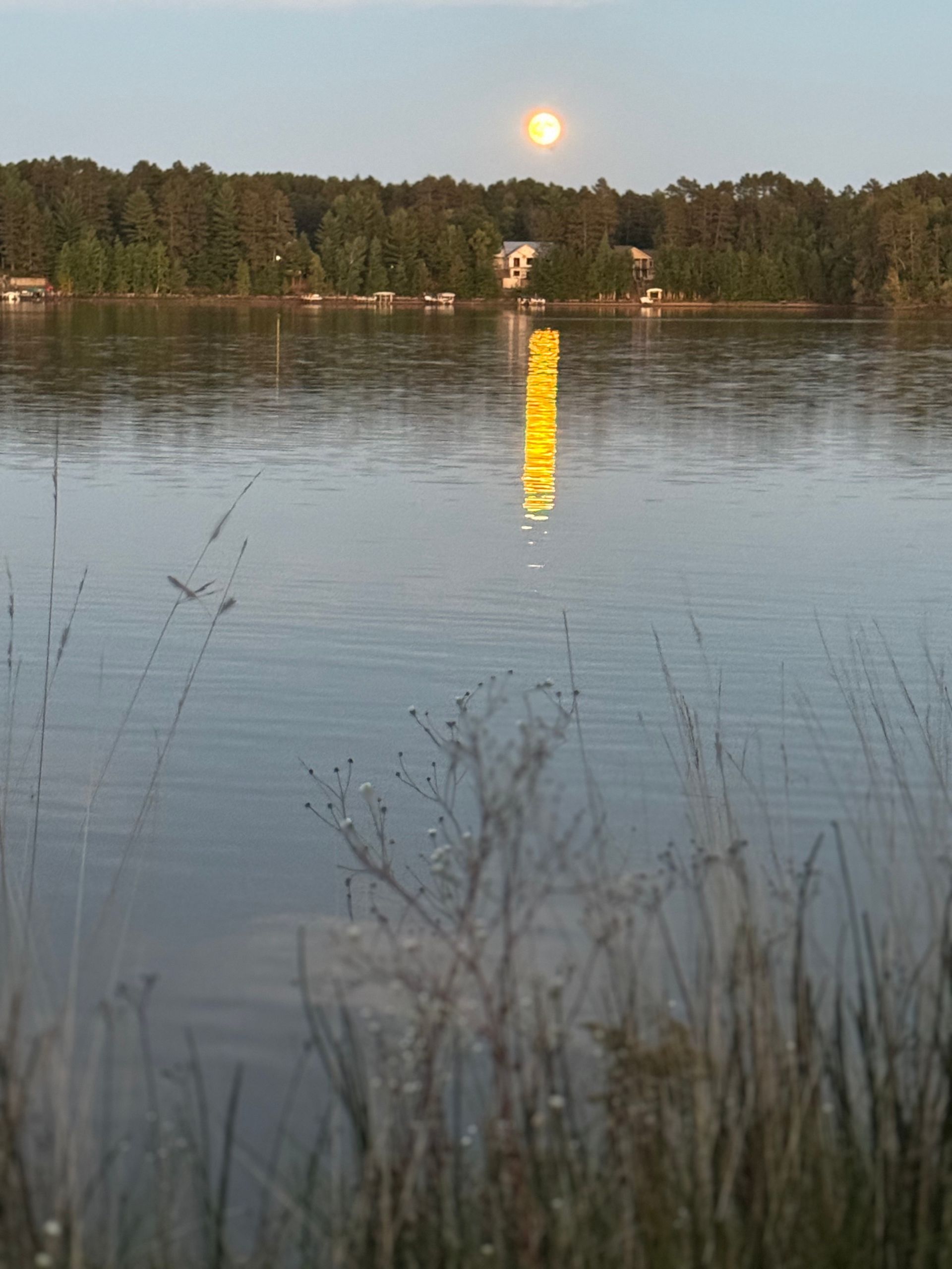 Full moon reflecting on a calm lake, with treeline and shoreline houses.
