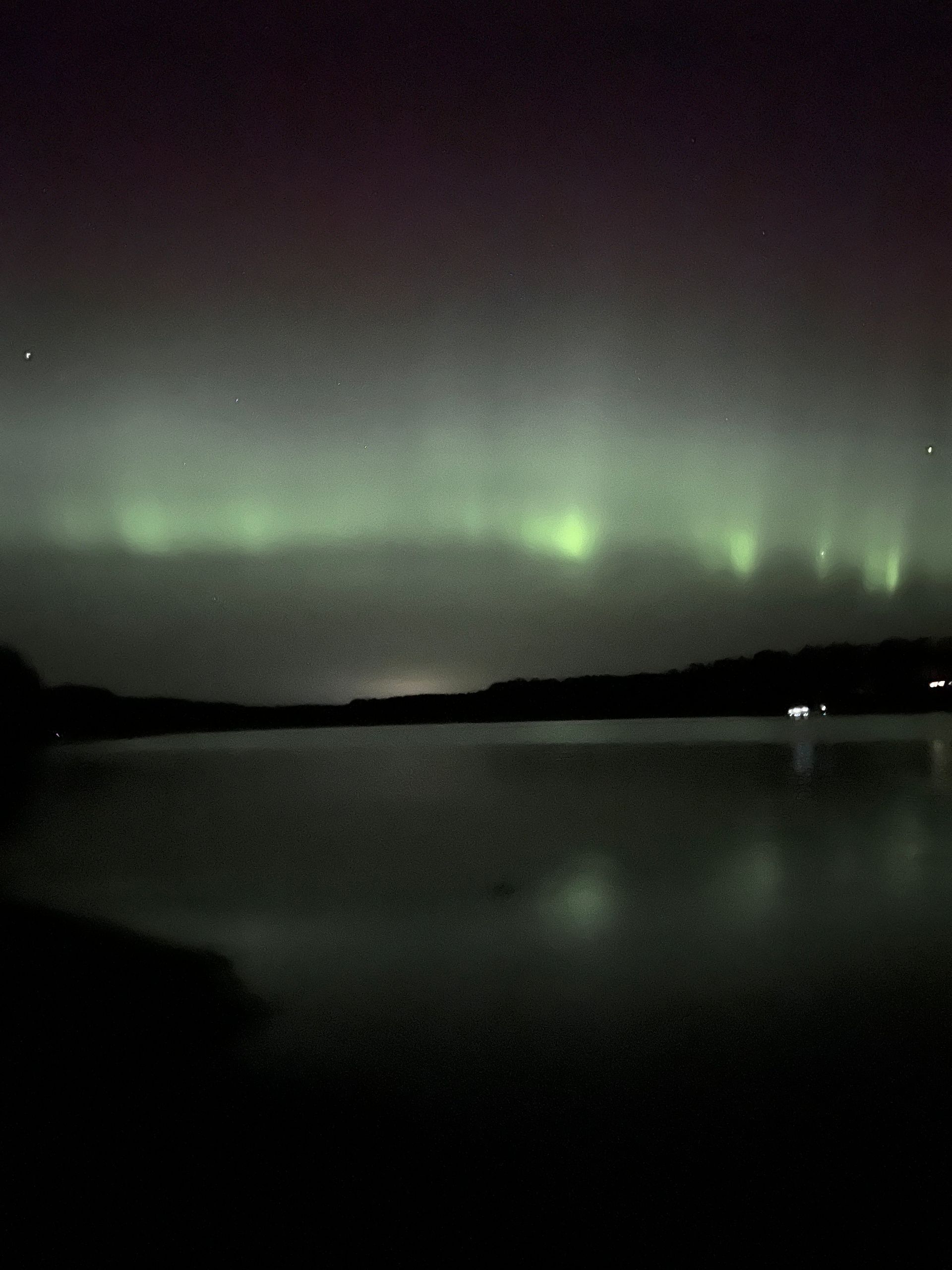 Green Northern Lights reflect in dark water, over a dark treeline, beneath a purple sky.