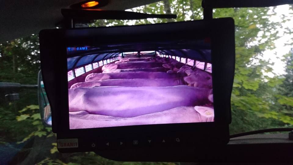 Infanger Alexander GmbH