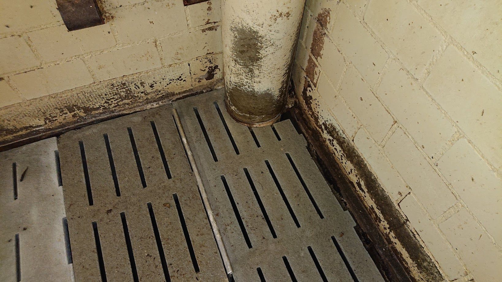 Infanger Alexander GmbH