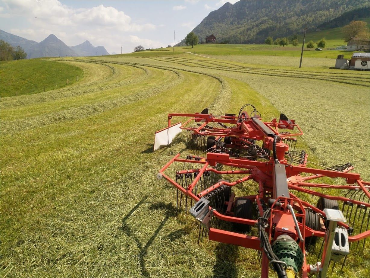 Infanger Alexander GmbH