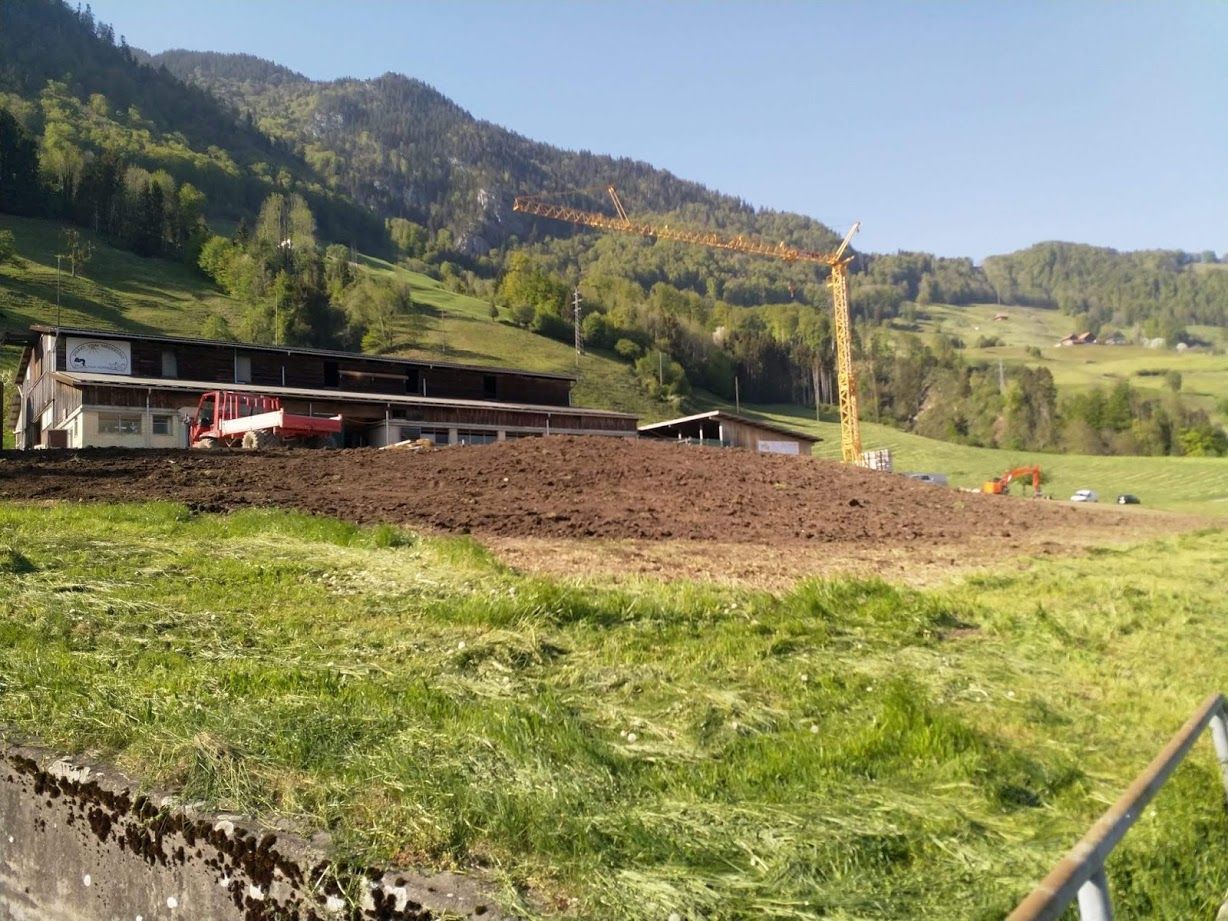 Infanger Alexander GmbH