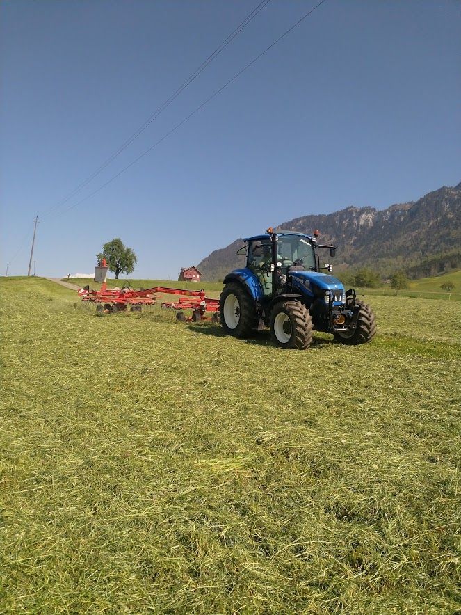 Infanger Alexander GmbH