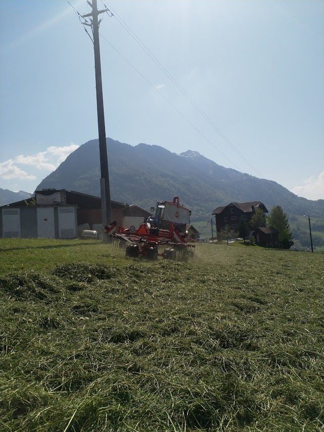 Infanger Alexander GmbH