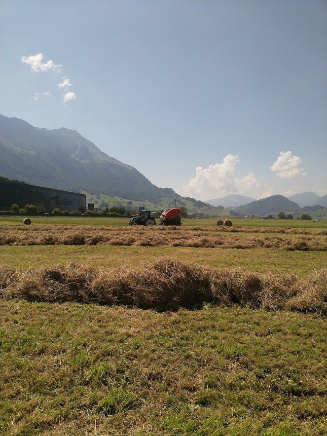 Infanger Alexander GmbH