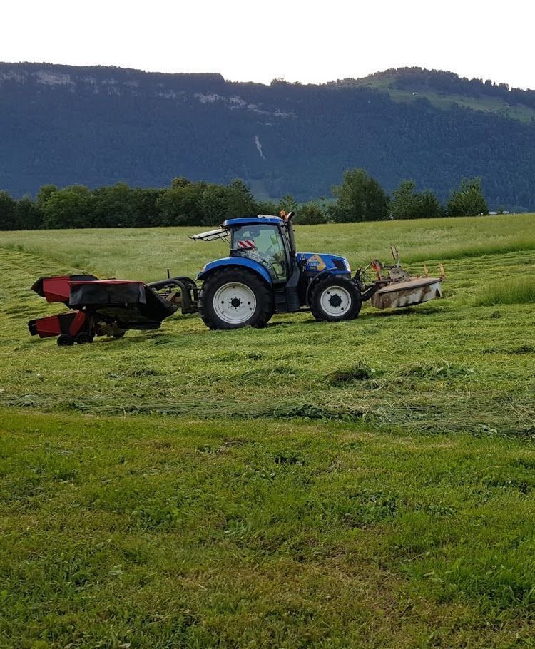 Infanger Alexander GmbH