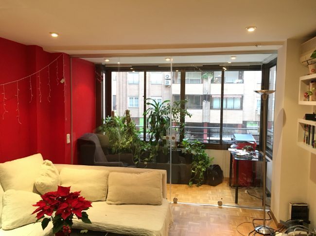 Una sala de estar con un sofá y una flor de Pascua en la mesa.