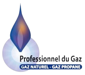 Logo Professionnel du Gaz.