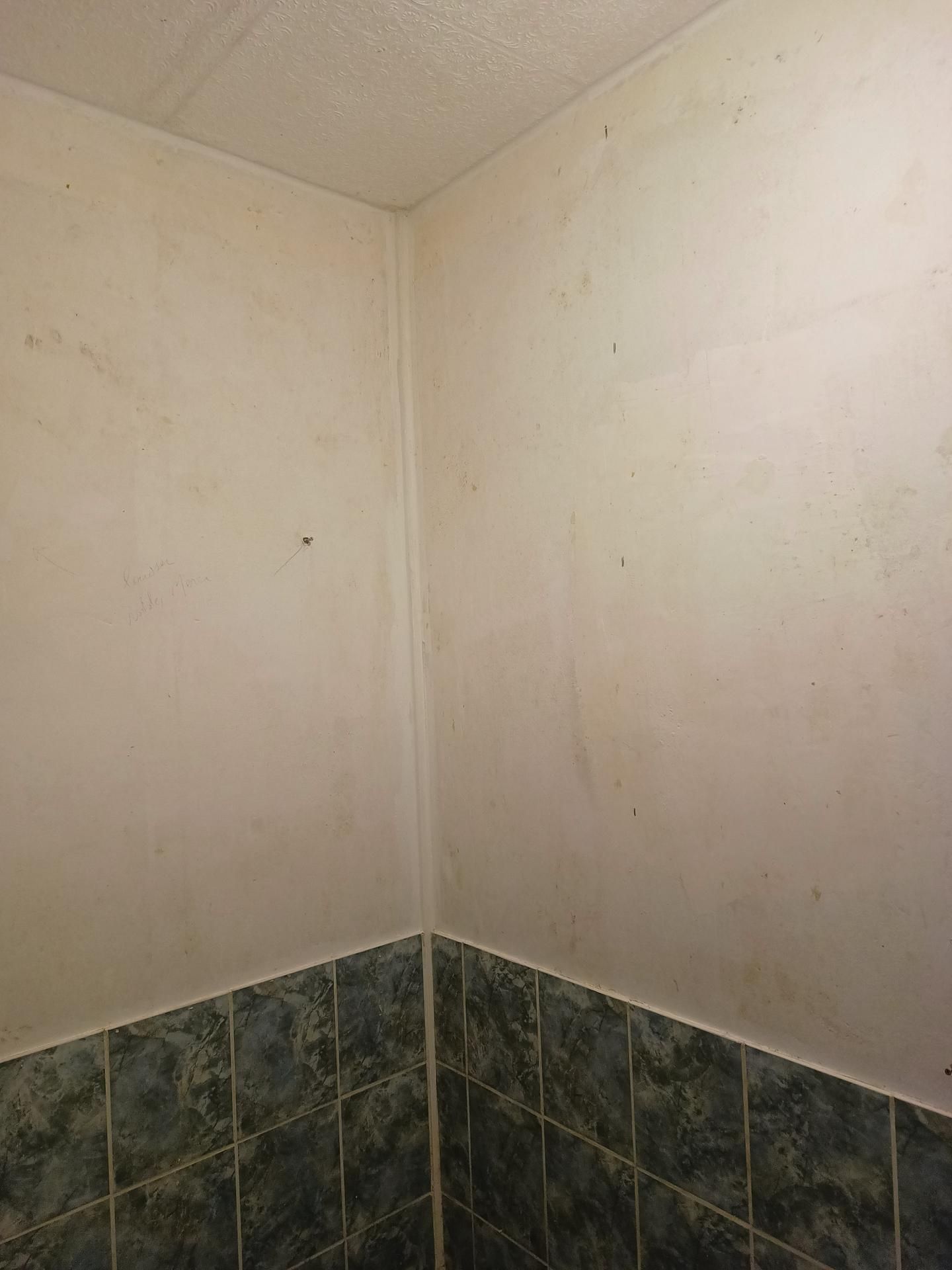 Mur avant pose de papier peint