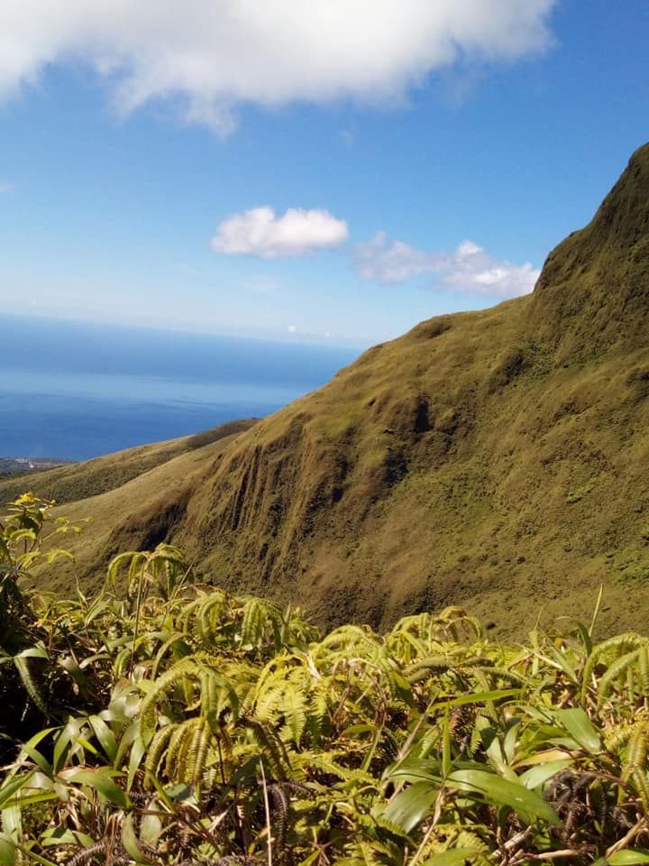 Montagnes verdoyantes et vue sur la mer.