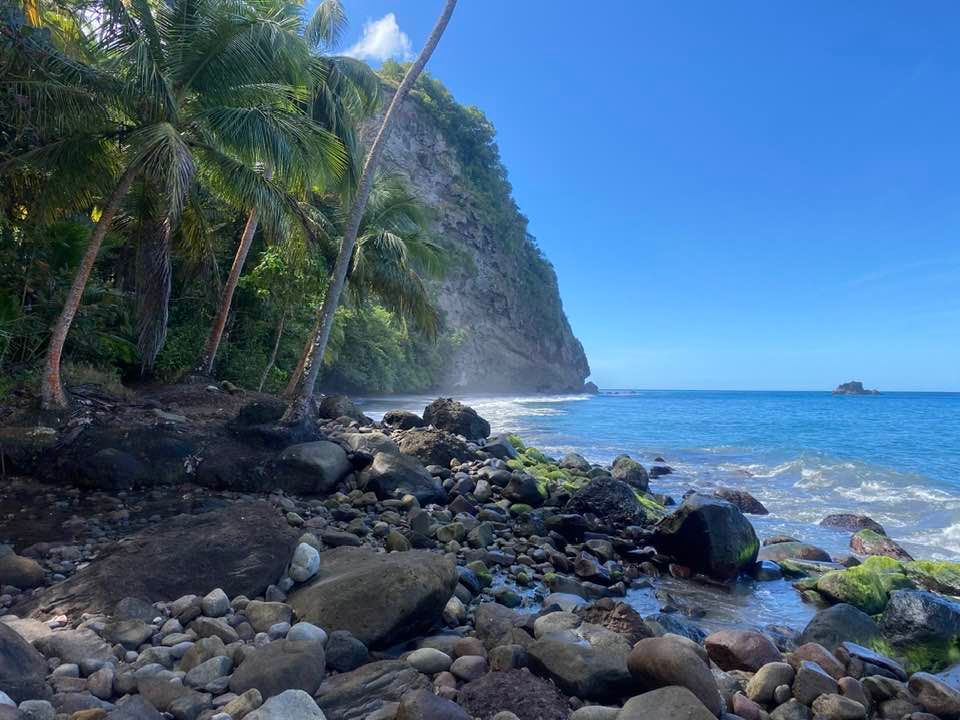 Plage de cailloux et de palmiers.