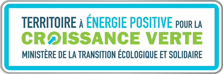 Logo TEPCV.