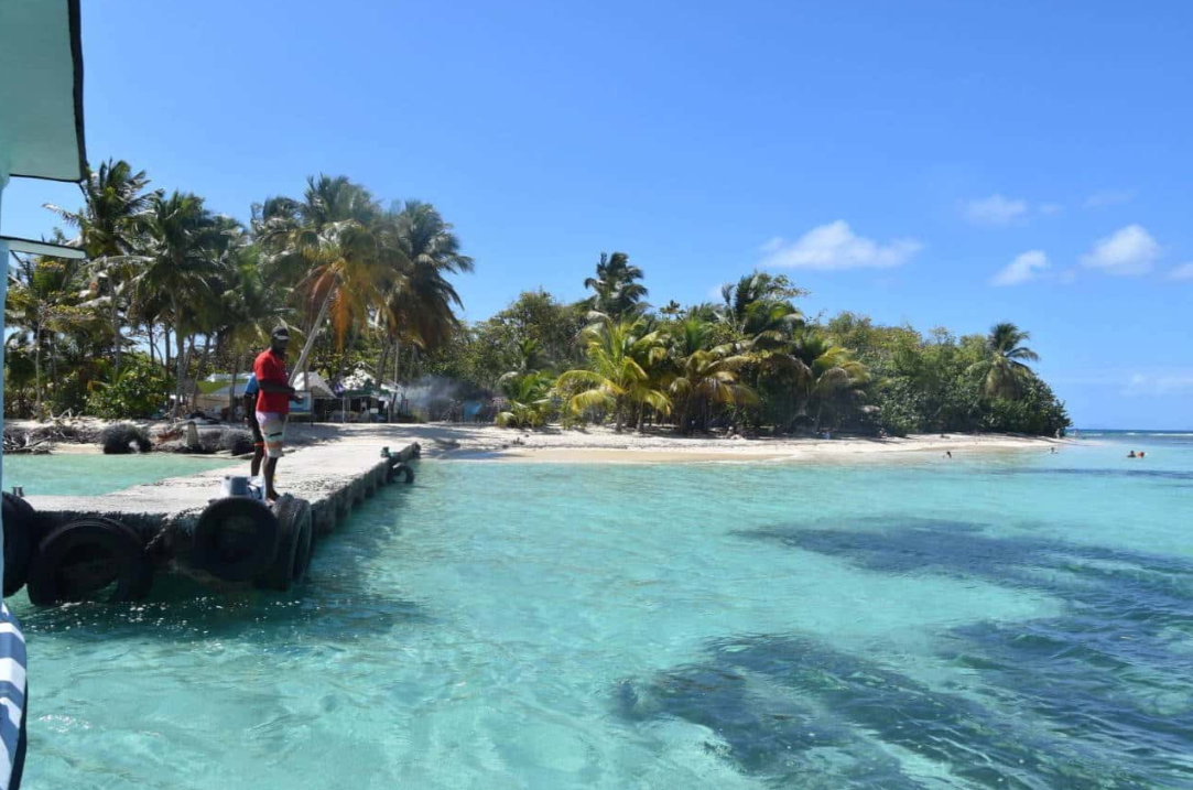Plage tropicale avec un quai, une eau turquoise, des palmiers et une personne debout près du rivage.