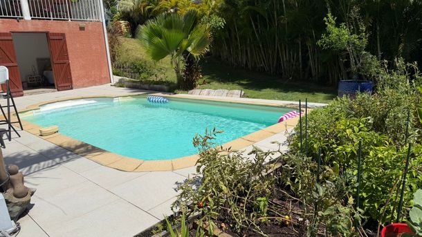 Piscine dans le jardin avec eau turquoise, dalles de terrasse, arbustes et un bâtiment en briques rouges à côté.