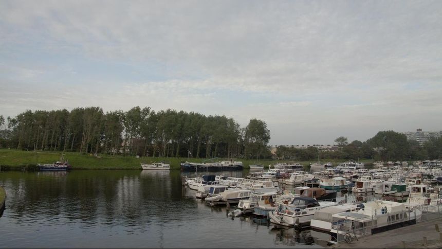 Boten liggen aangemeerd in een haven, op een rij in het water. Bomen en een bewolkte hemel op de achtergrond.