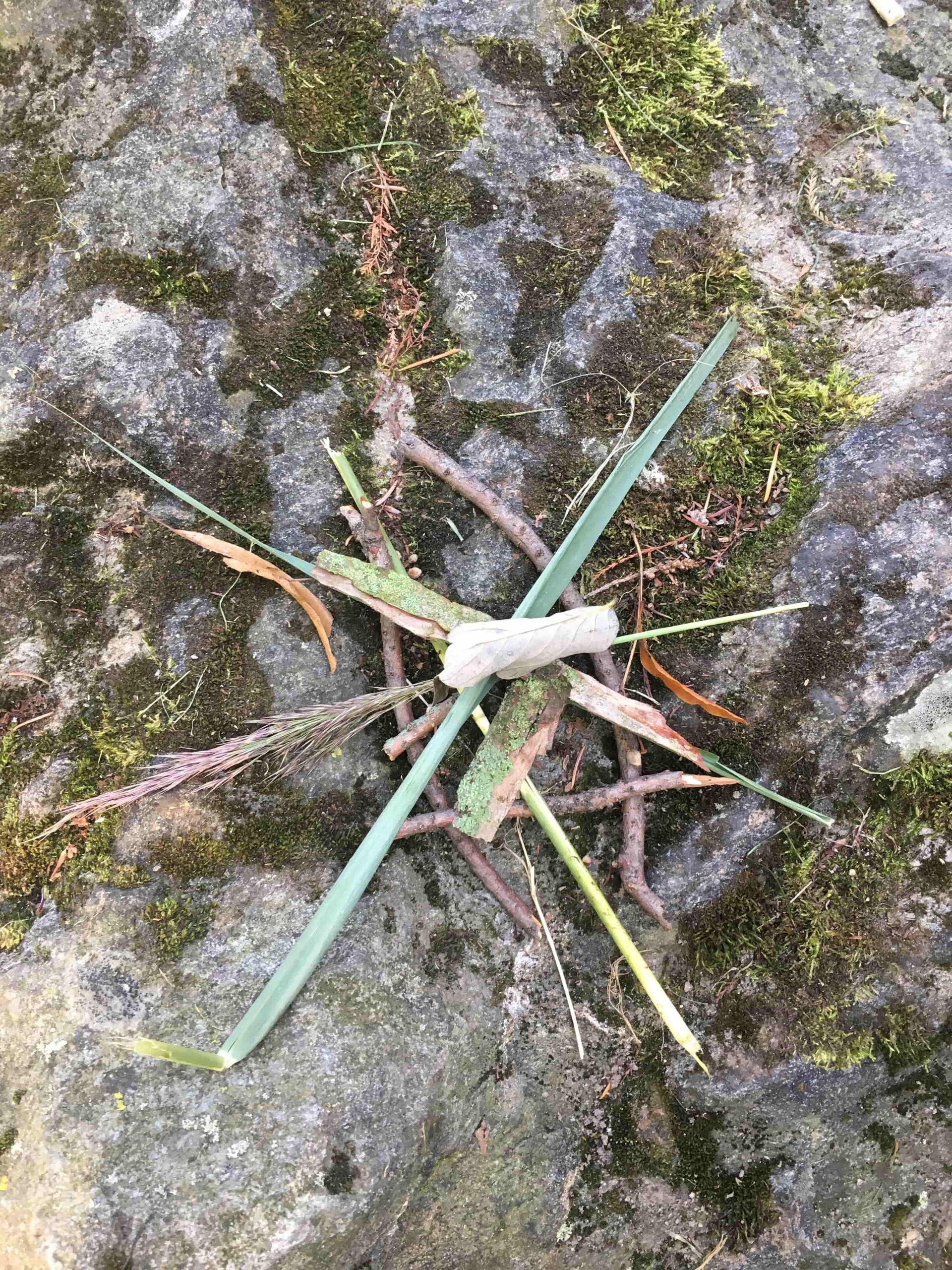 Cours d'art et d'expression libre pour enfants à Anière - Artistes en Herbe