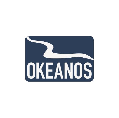 Es ist ein Logo für ein Unternehmen namens Okeanos.