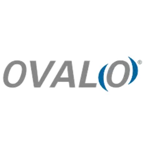 Das Logo für das Oval (o) ist grau und blau auf weißem Hintergrund.
