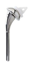 Prothèse anatomique - Steve Brenn - Lausanne