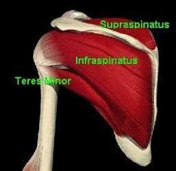 Réparation de la coiffe - Steve Brenn - Lausanne