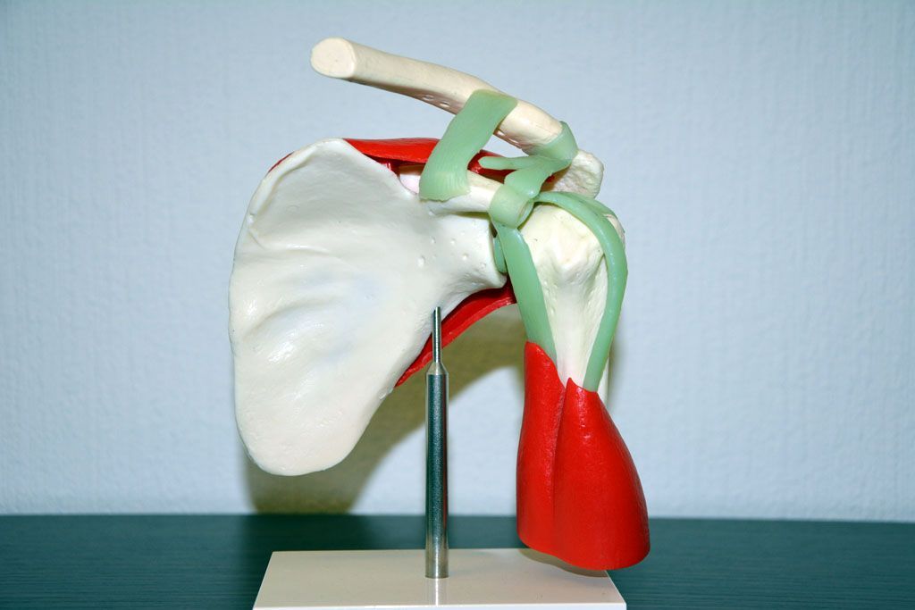 Chirurgie de l'épaule - Steve Brenn - Lausanne