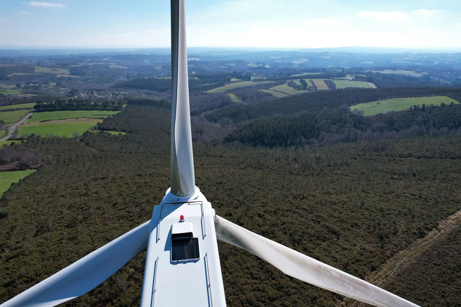 Una vista aérea de una turbina eólica en medio de un bosque.