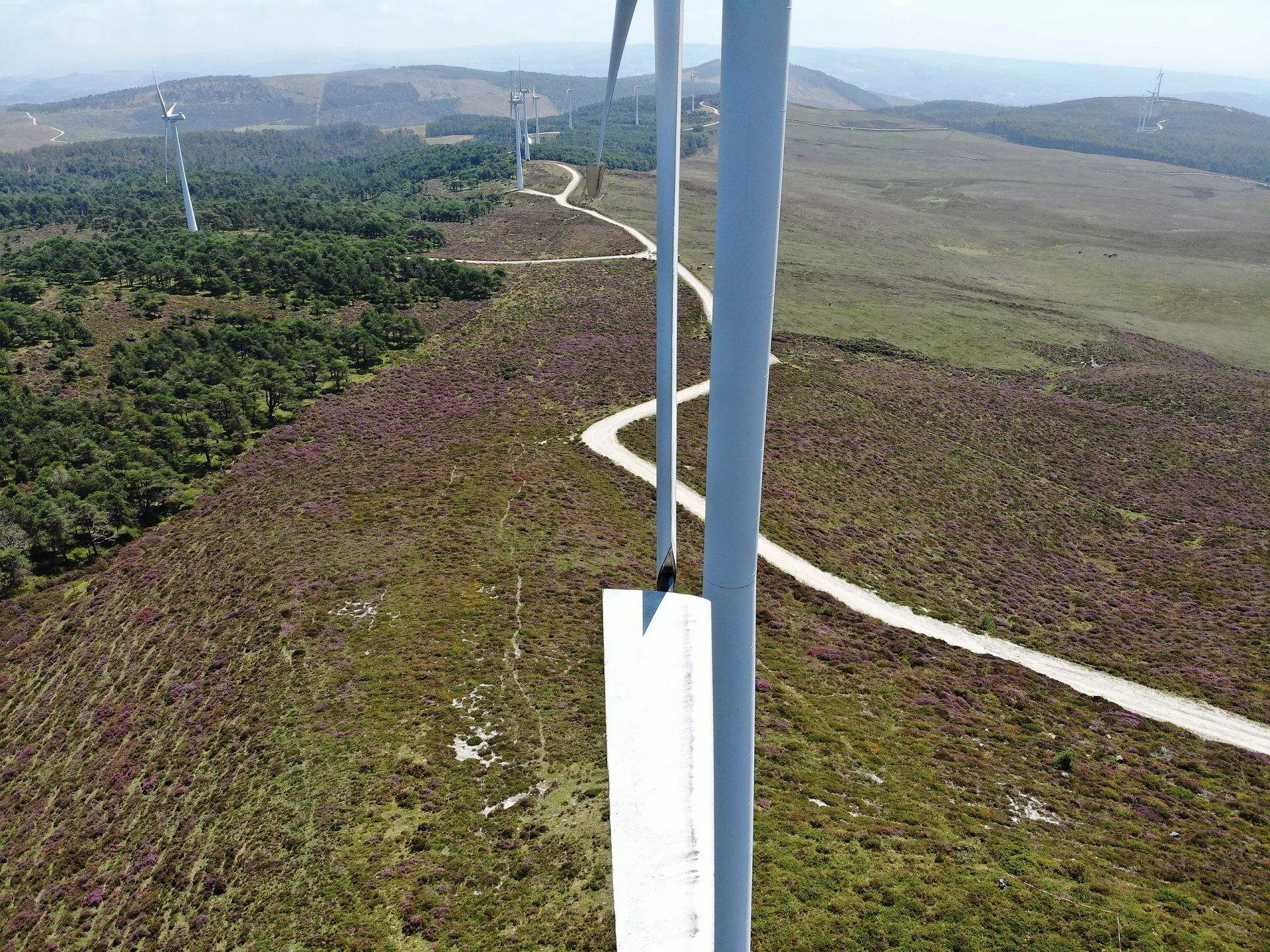 Una vista aérea de una turbina eólica en medio de un campo.