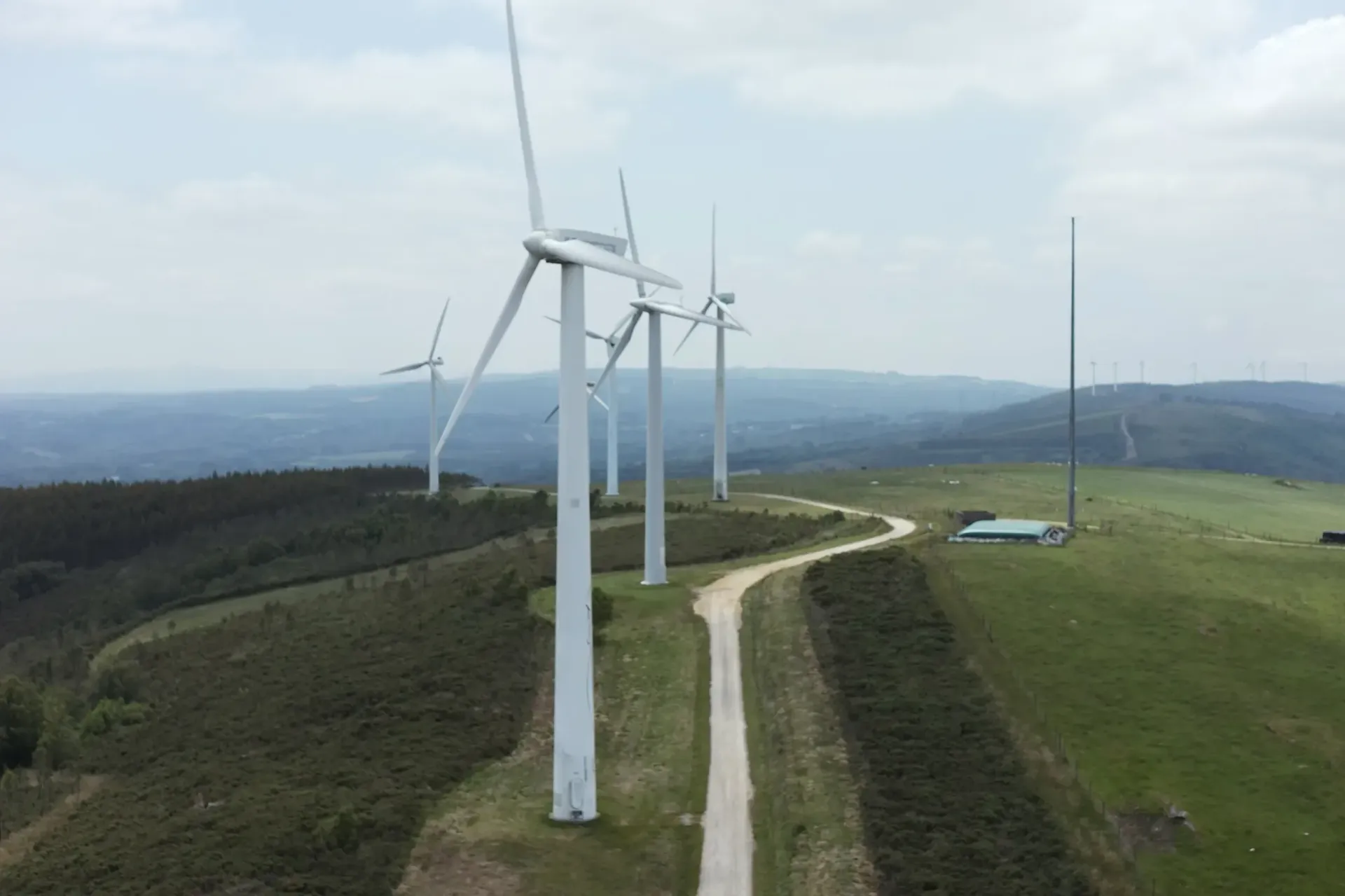 Una hilera de turbinas eólicas se encuentran en la cima de una colina cubierta de hierba.