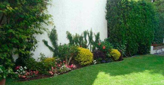 Un jardín con una pared blanca y muchas plantas y flores.