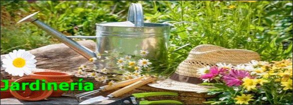 Un jardín con regadera, sombrero de paja, flores y herramientas de jardinería.