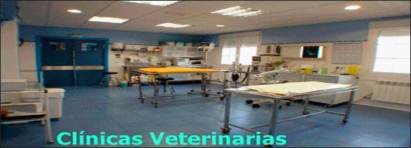 Una habitación de hospital con una cama y una mesa dentro.