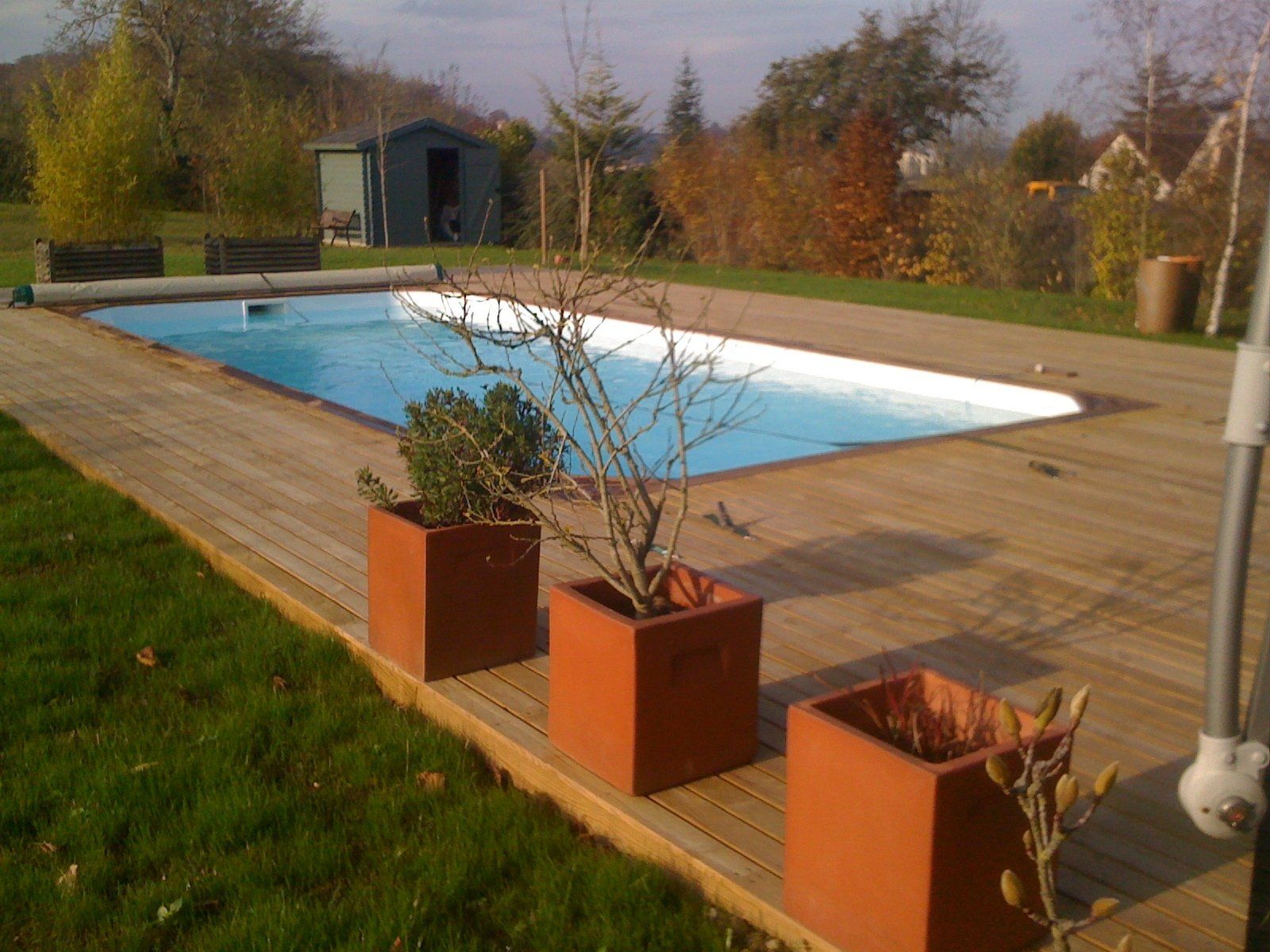 Aménagement piscine contour bois et arbuste