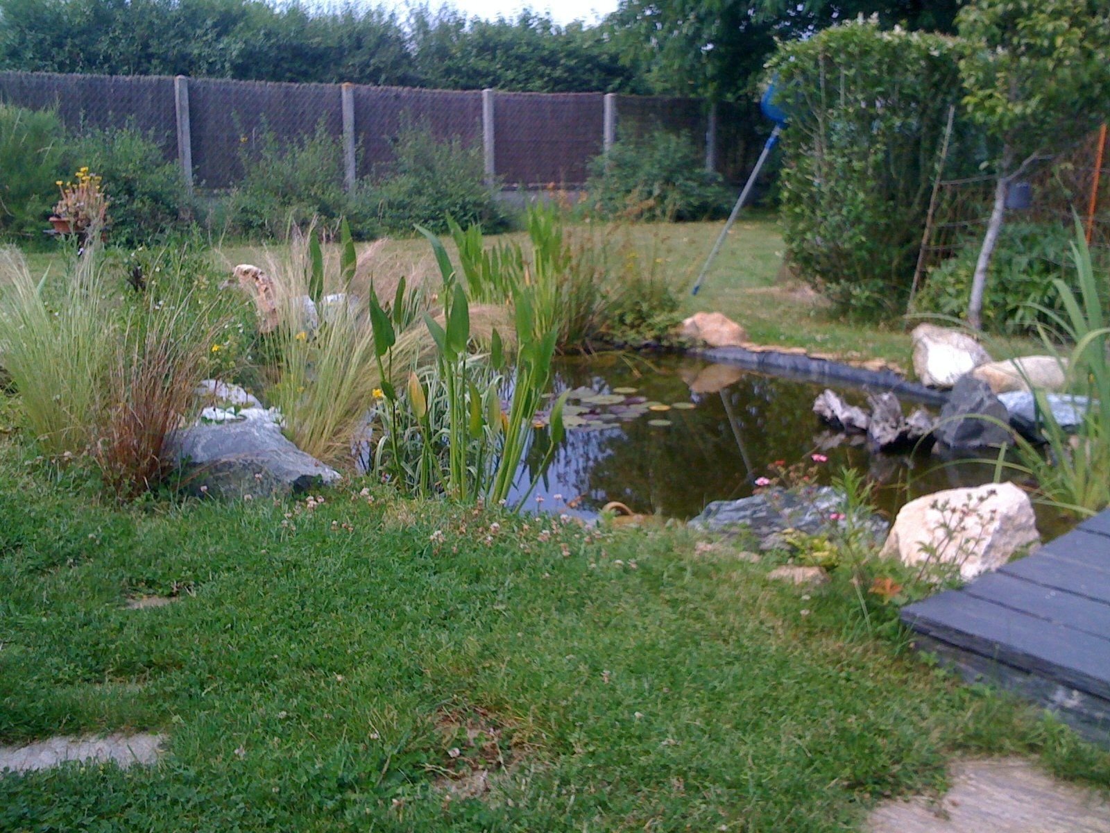 Désherbage et aménagement de jardin