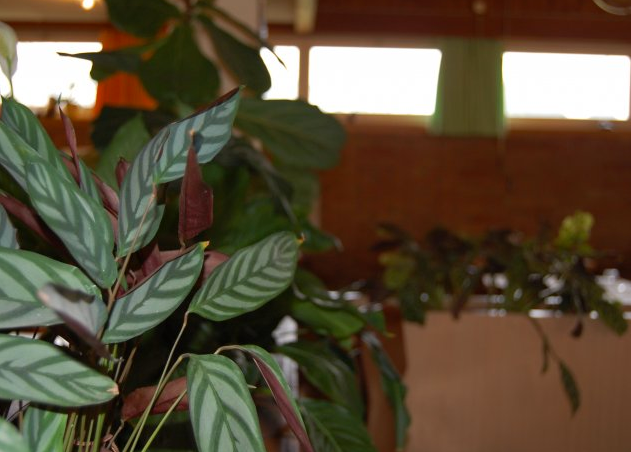 Jäcky’s Taverne Ziegelei