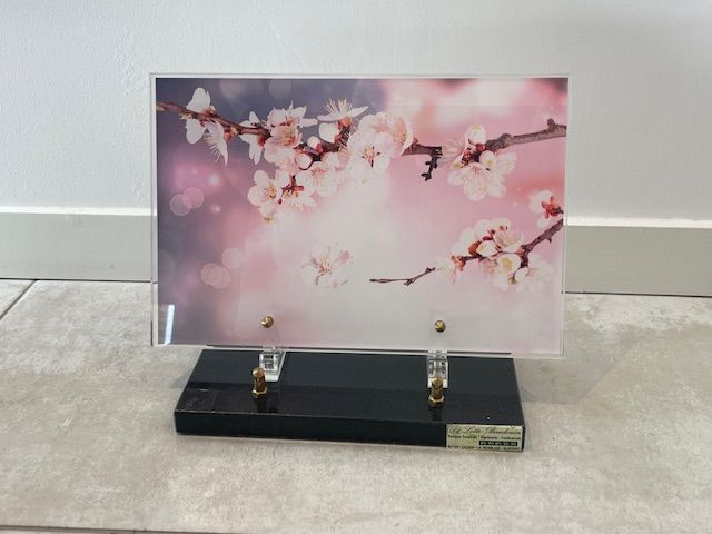 Photo de fleurs de cerisier