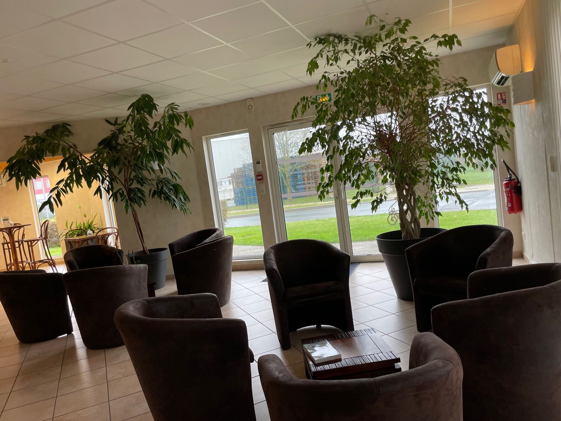 Salon de discussion avec fauteuils noirs et arbre de l'agence de La Tremblade