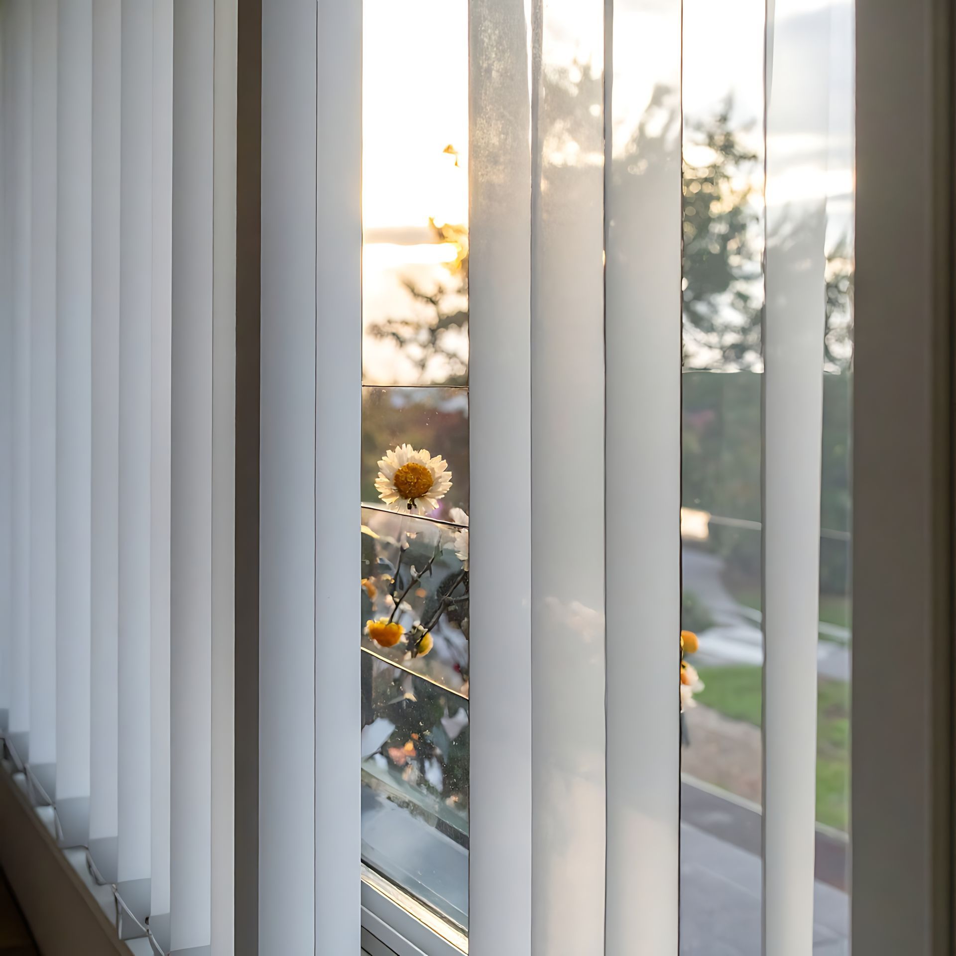 Fenêtre baignée de soleil avec stores verticaux blancs, dévoilant des fleurs et arbres à l'extérieur au coucher du soleil.