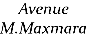 Logo Avenue M.MaxMara