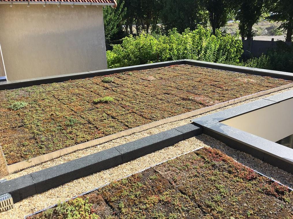 Terrasse végétalisée