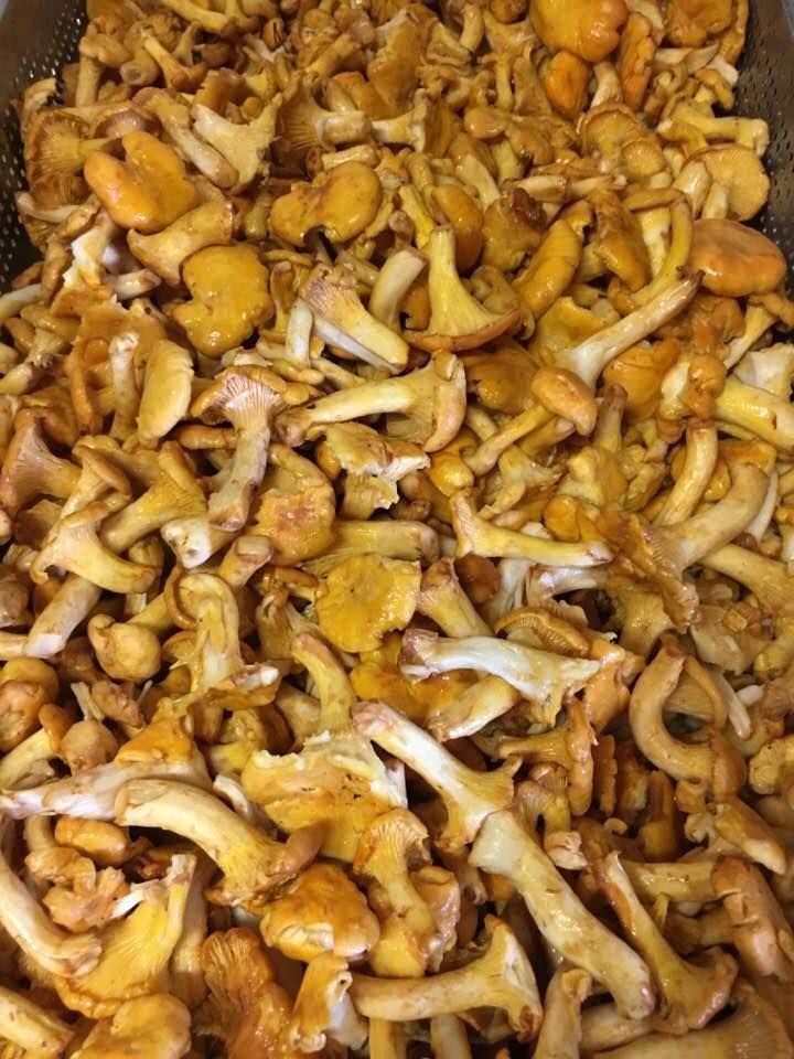 Restaurant Le Gueullhi