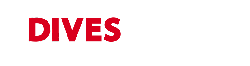 logotipo cabecera