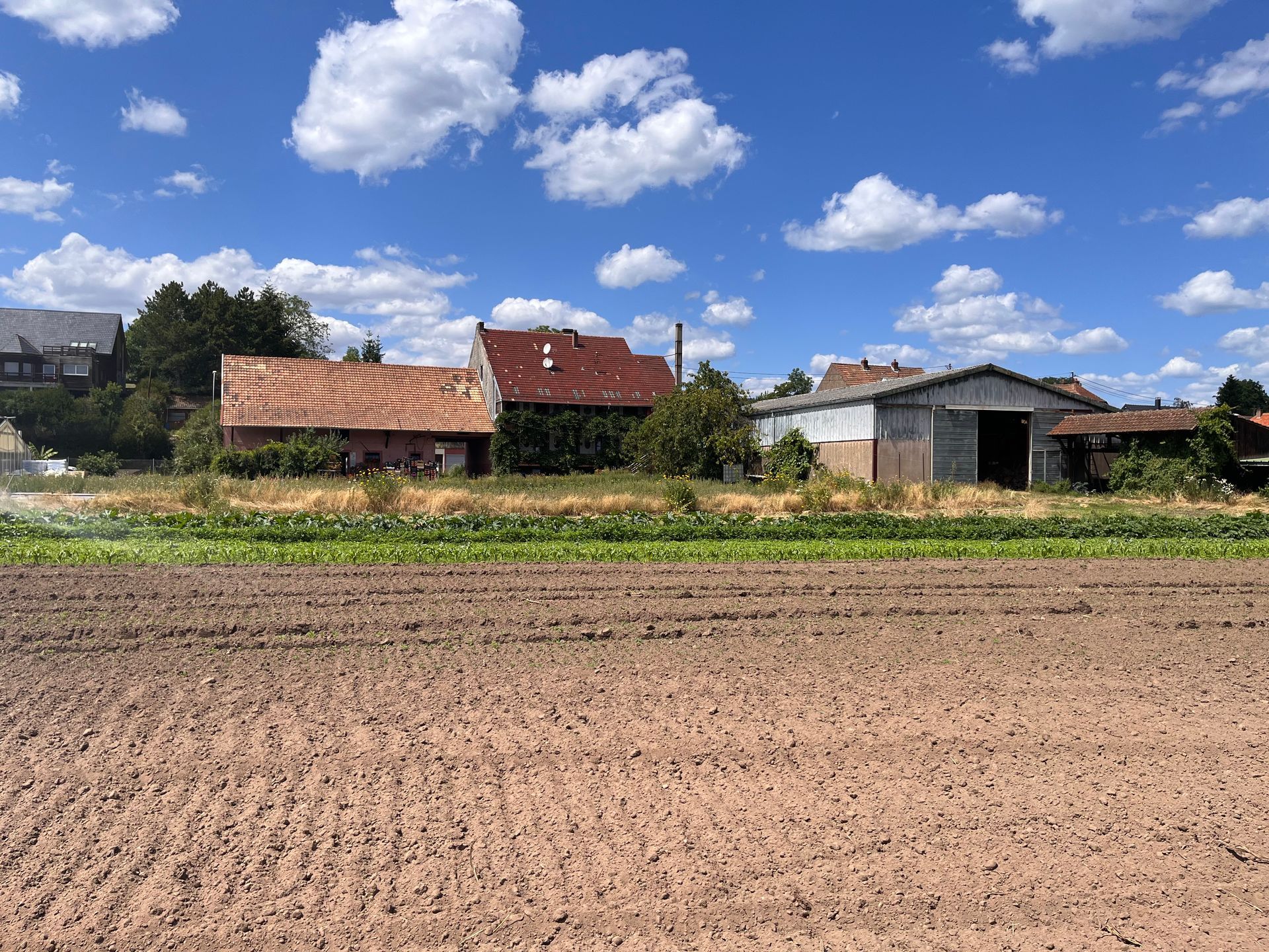 Vue du terrain et des différents batiments
