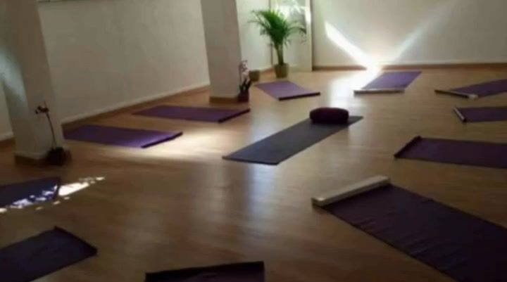 Una habitación llena de colchonetas de yoga moradas y una planta.