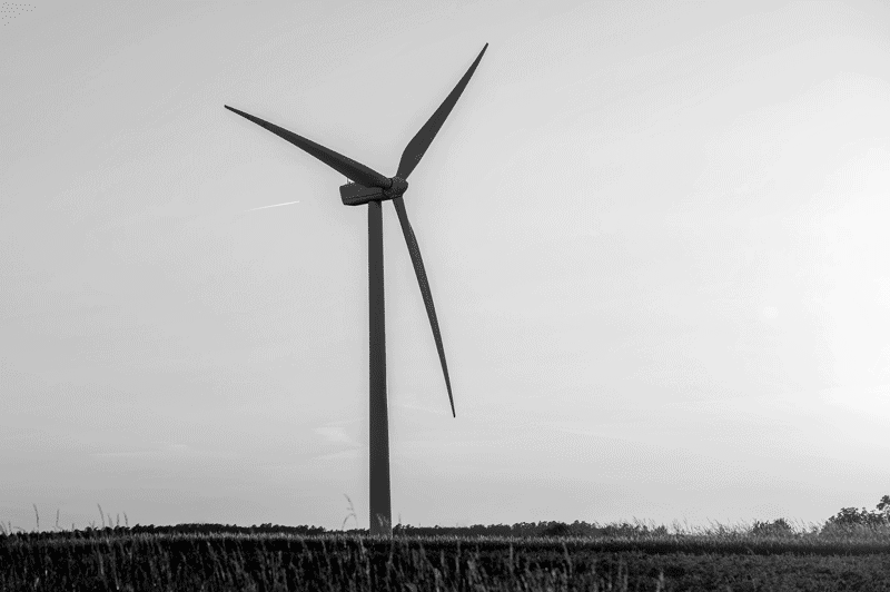 Éolienne en fond dans un champ