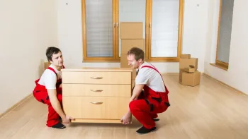 Cucarachas arrastrándose sobre migas y baldosas en el piso cerca de una pared.