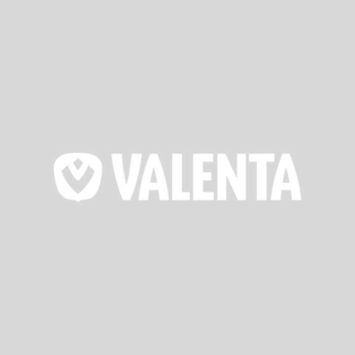 El logotipo de Valenta es blanco sobre un fondo gris.